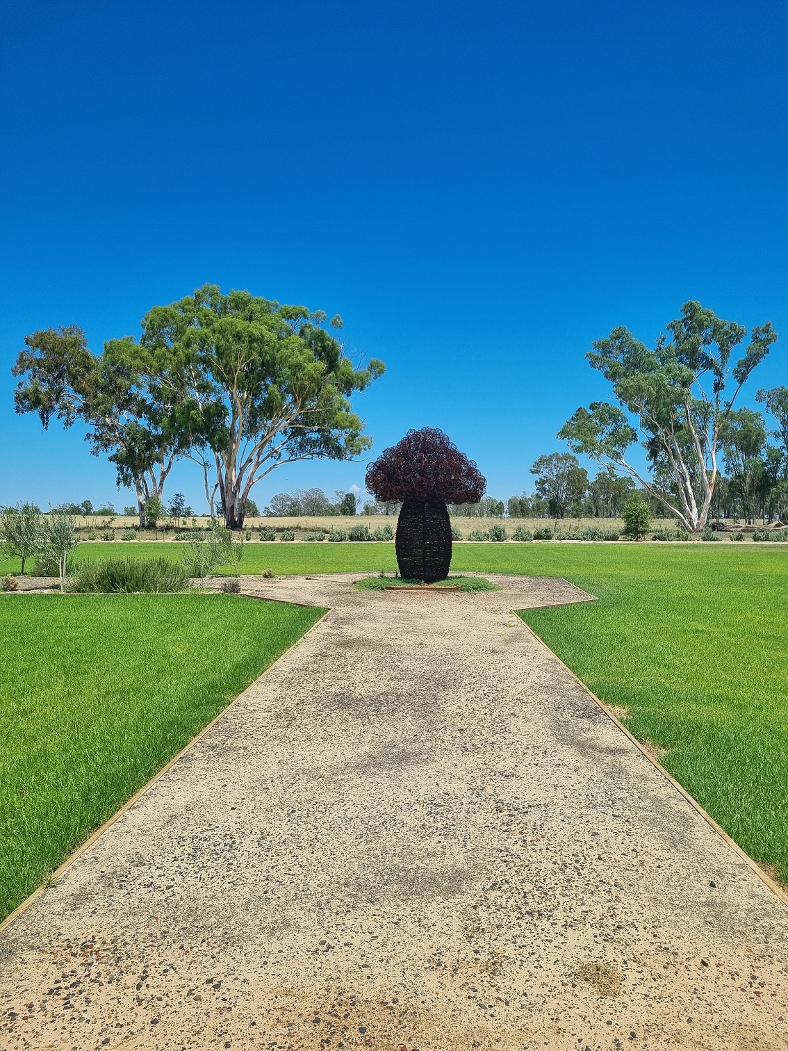 western-spirit-queensland-artwork